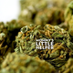 Image for article titled I'm a Mom and I'm Stoned Right Now